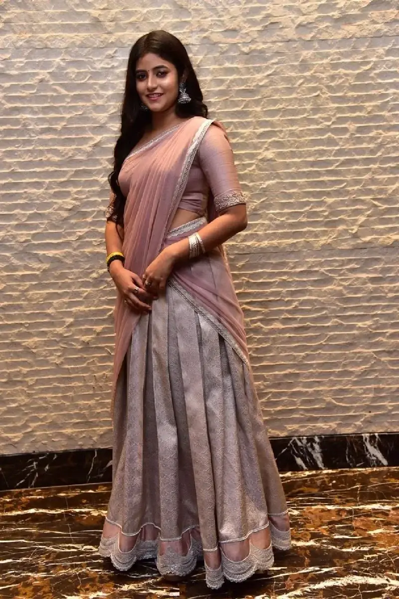 Telugu Actress Sanchita Bashu in Pink Saree at Movie Pre Release Event